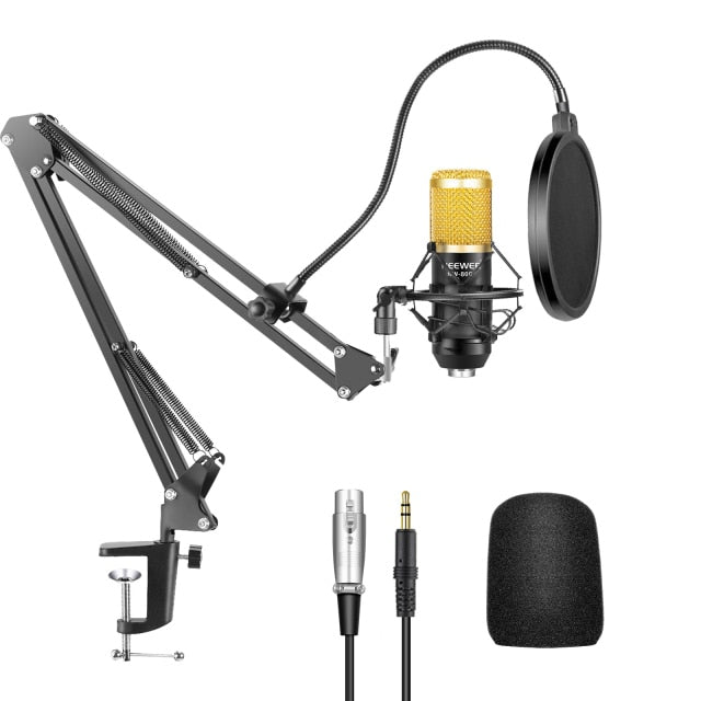 Neewer NW-800 Professional Studio Condenser Mic &amp; NW-35 Adjustable Recording Mic Suspension  Arm Stand with Shock Mount KIT