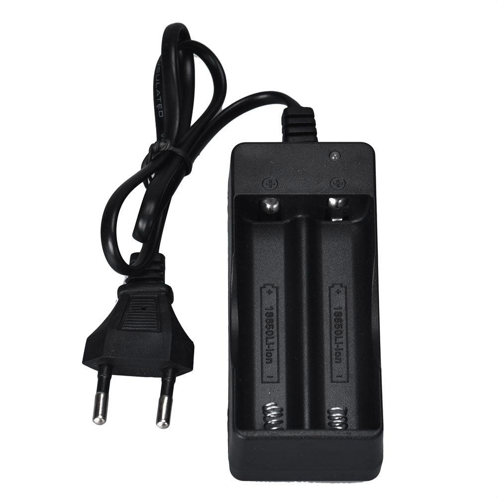 AC 110V 220V Dual Charger For 18650 3.7V Rechargeable Li-Ion Battery