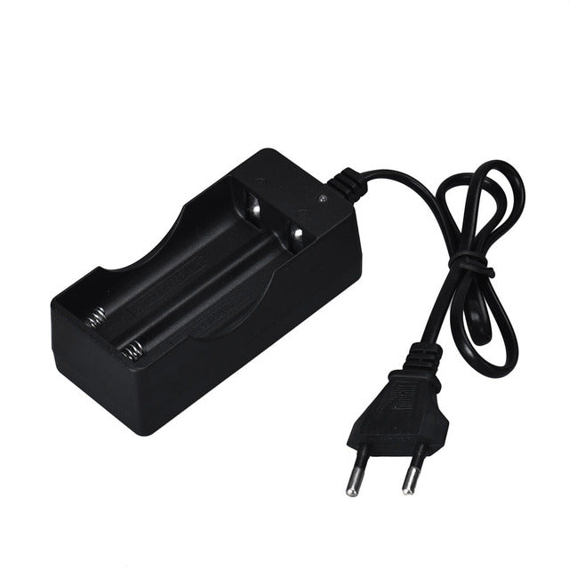 AC 110V 220V Dual Charger For 18650 3.7V Rechargeable Li-Ion Battery