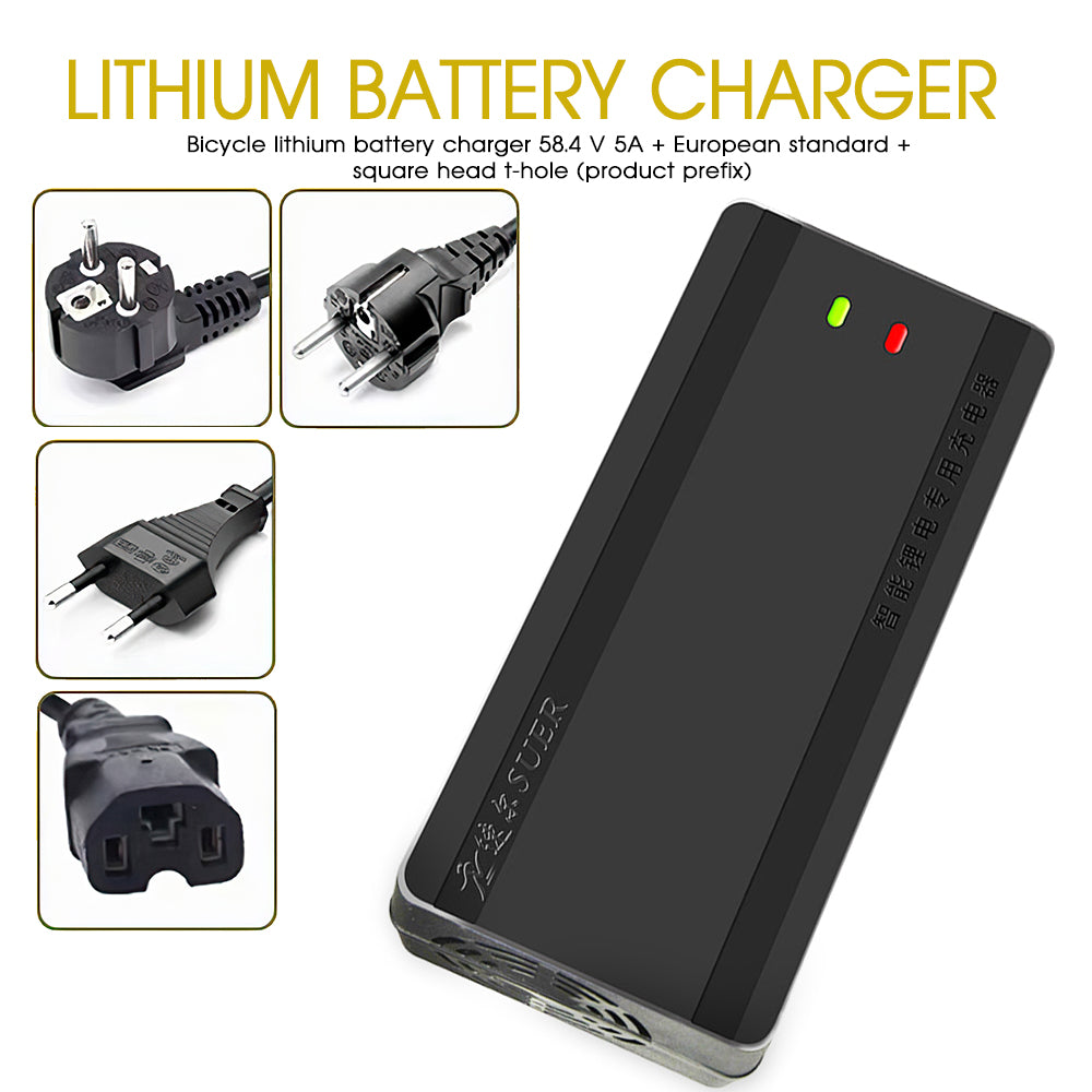 High Power Fast Charger Electric Car Scooter Battery Charger